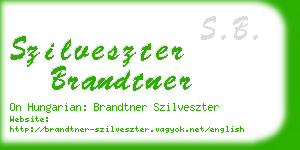 szilveszter brandtner business card